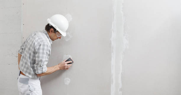 Asbestos and Lead Testing During Mold Inspection in Southern View, IL