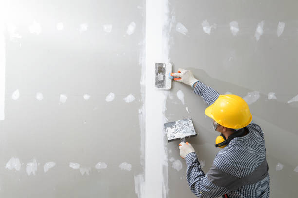 Best Forensic Mold Investigation  in Southern View, IL
