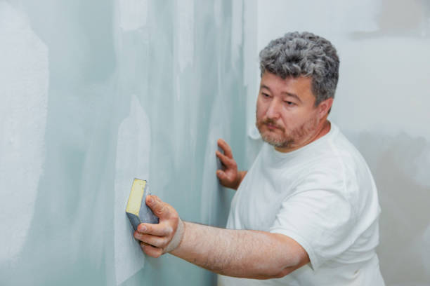 Best Attic Mold Removal  in Southern View, IL