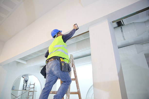 Professional Mold Removal in Southern View, IL