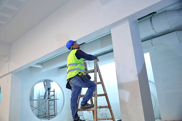 Best Asbestos and Lead Testing During Mold Inspection  in Southern View, IL